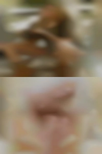 Barrie erotic massages clubs BBW sex dates!!!